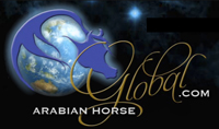 ArabianHorseGlobal.com
